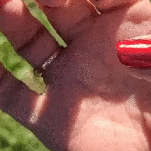 Red - Metallic Nail Powder - Image 3